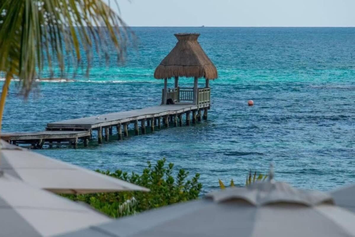 4Bd Grand Luxxe Riviera Maya Pool Resort 신데 델 카르멘 외부 사진